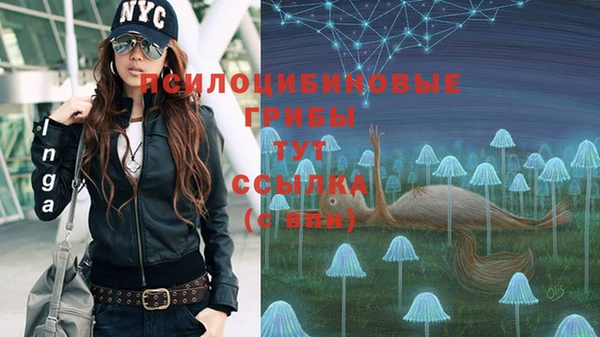дмт Балахна