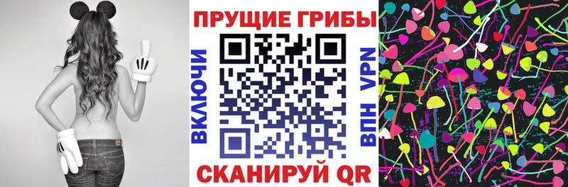 дарнет шоп  Староминская  Галлюциногенные грибы GOLDEN TEACHER 